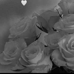 آوا رهگشای